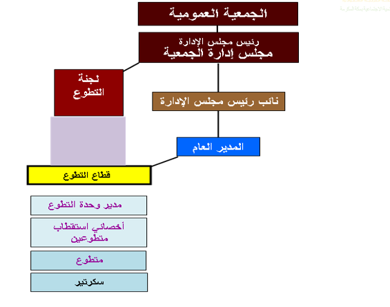 الهيكل الإداري لوحدة التطوع